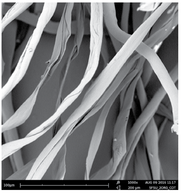 image-20260208094403766