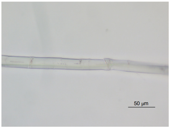 image-20260208094525657