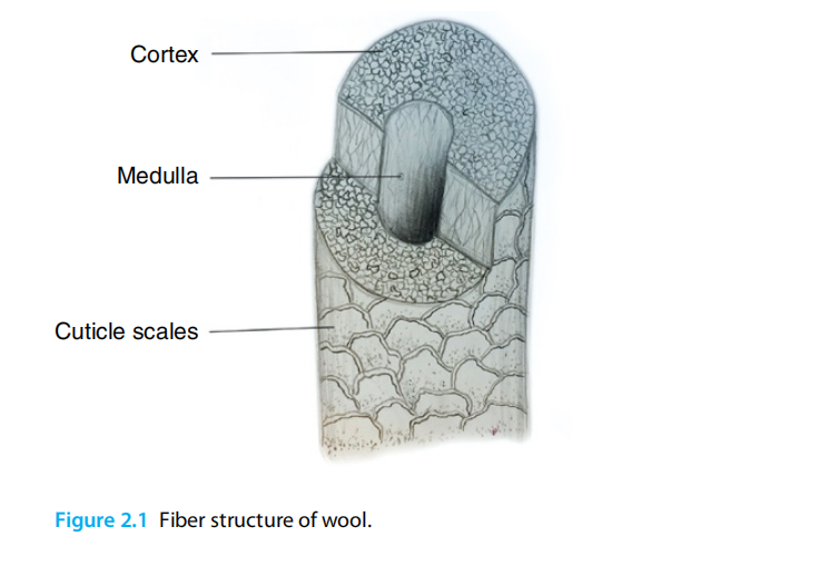 image-20260208094710292