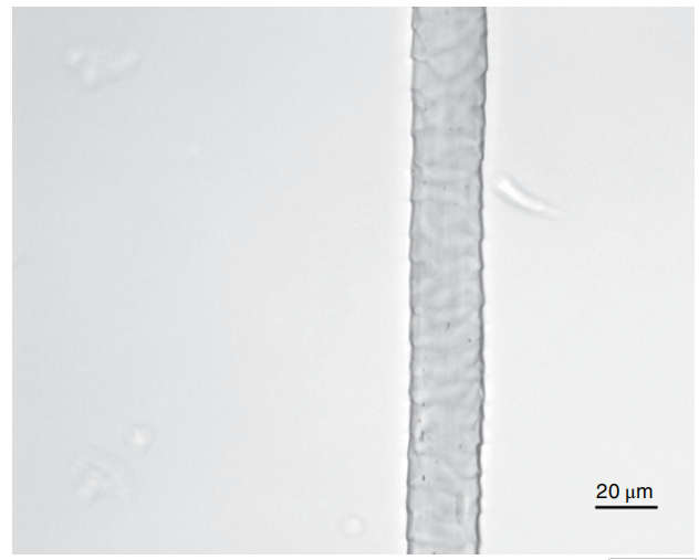 image-20260208094944078