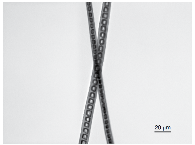 image-20260208095024360