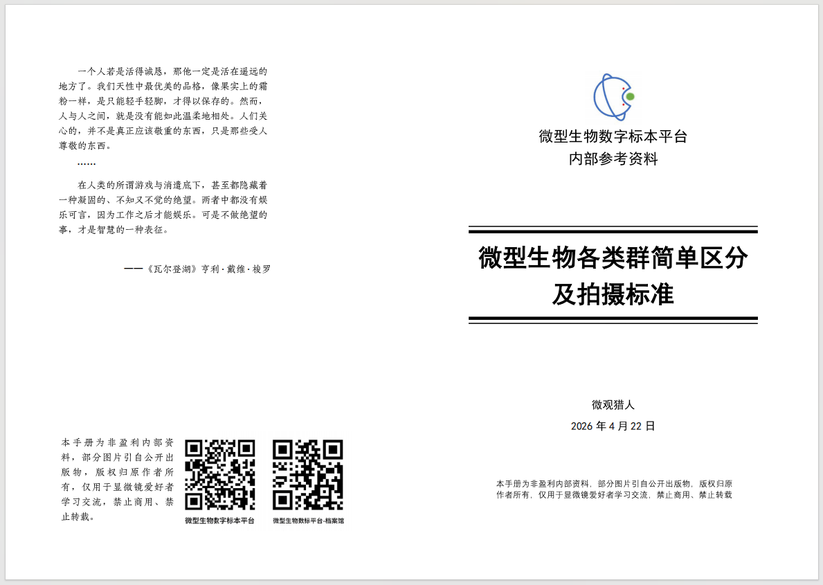 image-20260705191318421