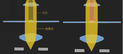 image-20260129102433270