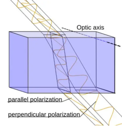 image-20260129103925916