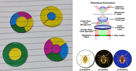 image-20260129104005172