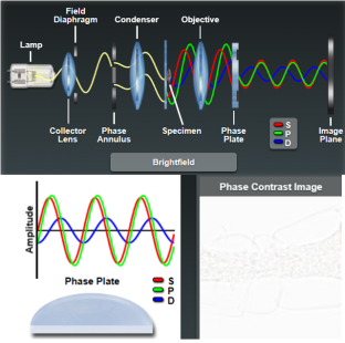 image-20260129104124420