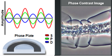 image-20260129104240230