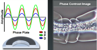 image-20260129104249667