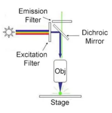 image-20260129104434906