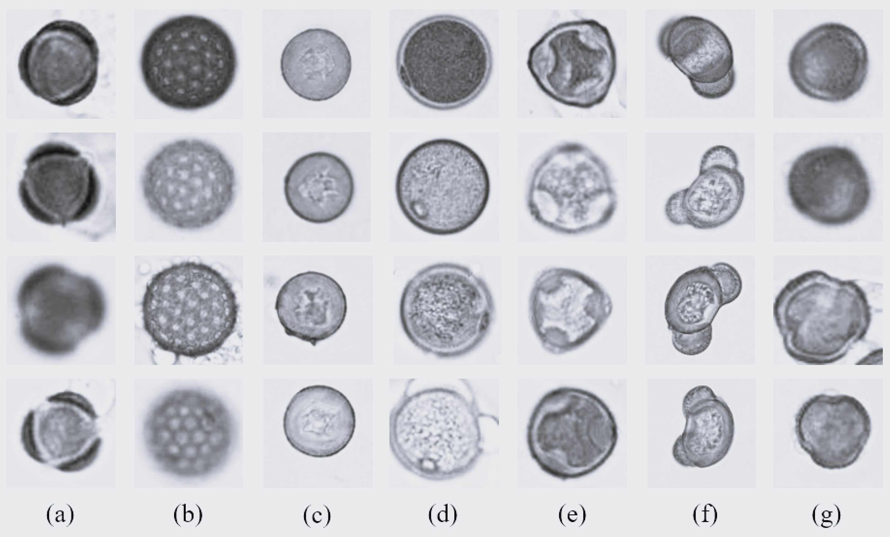 applsci-12-07126-g003